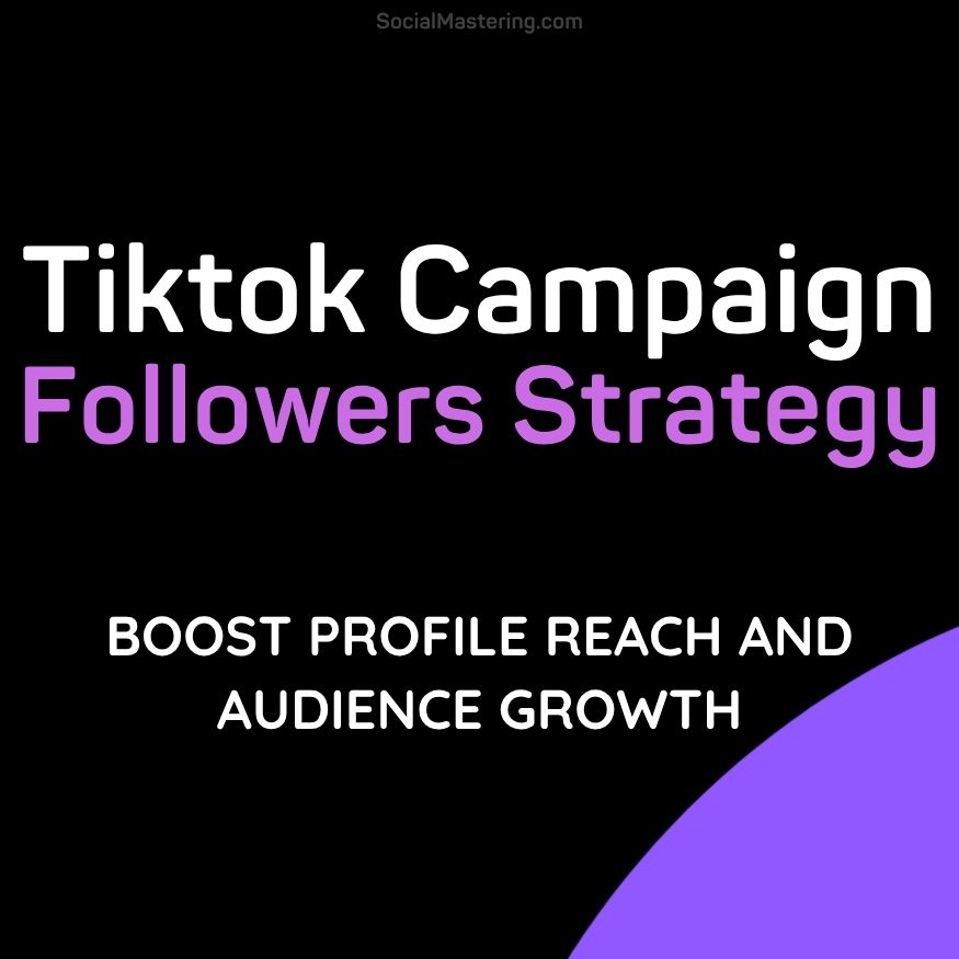 Tiktok-campaign-growth-strategy Tiktok campaign growth strategy