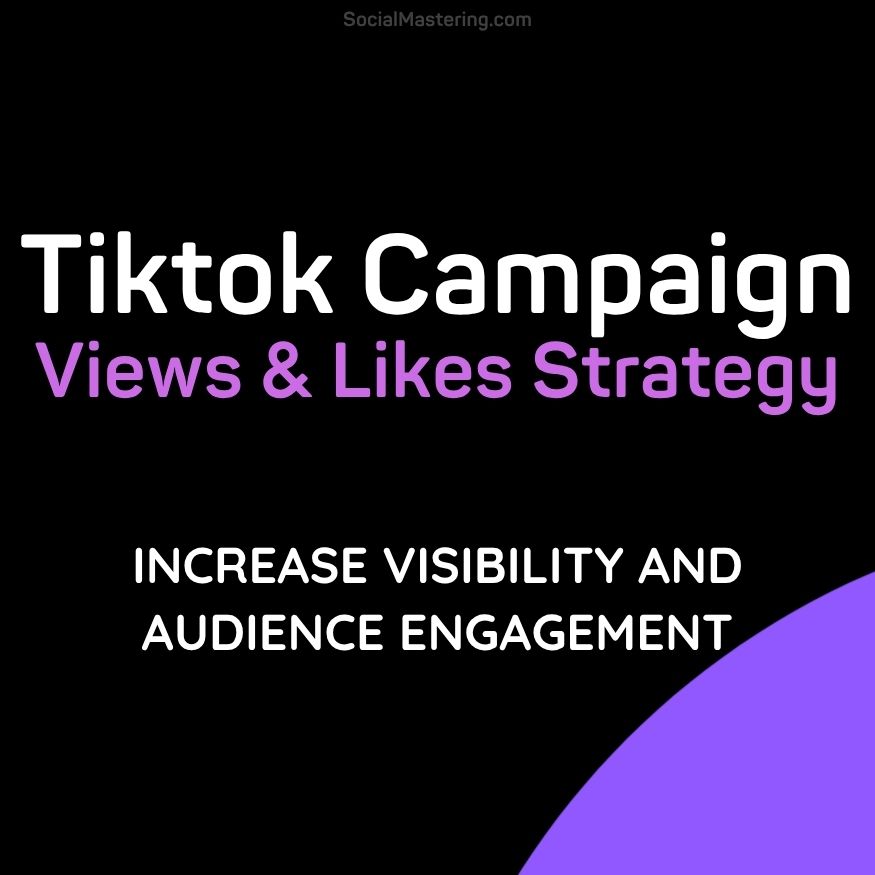 Tiktok-campaign-visibility-strategy Tiktok campaign visibility strategy